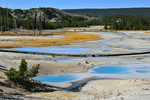 Norris Geyser Basin