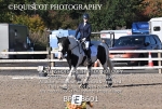 BPP_8601