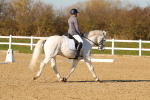 SBM_004579