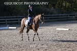 BPP_9340