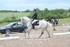 BPP_9396