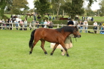 SBM_62807