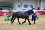 SBM_16192