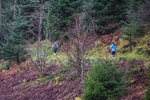 Glentress 21  10K-19