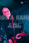 The Wilko Johnson Band-55