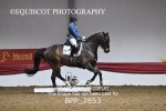 BPP_2853