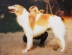 Ch Margiitan Boris