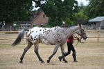 WJ6_7815