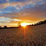 Kemerton Fields