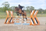 BPP_6105