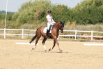 SBM_022281