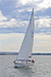190729 SEA BADGER GBR9483T 1Y3A6700