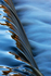 River Manifold