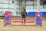 SBM_004138_Class 60 - 1m Combined Training Showjumping