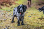 Glentress Marathon-1125