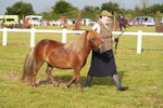 DSC04513