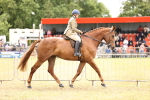 SBM_14647_Class 88 - 89 - LIHS BSHA Rising Star of Ridden Hunter Type