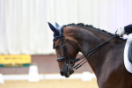 SBM_003870