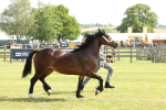 SBM_02259