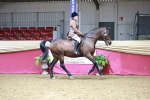 SBM_02198