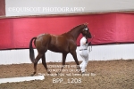 BPP_1208
