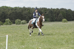 BVHT 140517  NXC -249