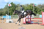Fri 07 Snr Brit Nov & 90cm Open portfolio