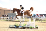 SBM_004355