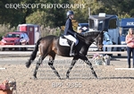BPP_9355