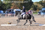 BPP_9535