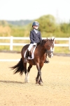 Class 1-2-4 - MQ Open U21 Intro 2-3 portfolio