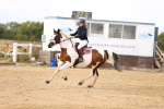 SBM_007135