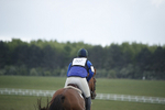 BVHT 140517  IXC -440