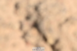 240509A-130631-01960