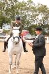 Class 212 - Ridden Hunter - Small portfolio