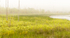 Sky Lake Wetlands-June