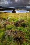 Boathouse and Heather