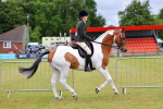 SBM_02507