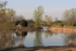 Spring Reflections 2011
