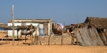 Senegal Fulani Senegal village general view 7