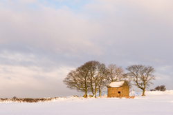 Moorside barn morning.