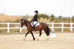 SBM_000054