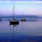 Sailboats at Sunrise