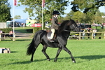 SBM_54068