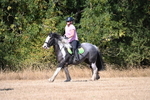 WJ6_8495