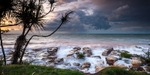 A Red Tide Wash