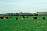 29th April 1984