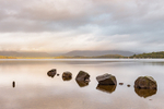 Milarrochy Bay, Loch Lomond (3)