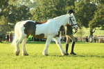 SBM_57288