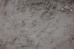 SBM_006492